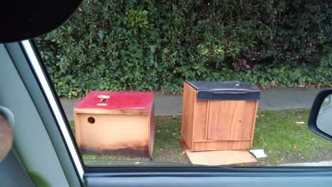Rubbish/Recycling, a report photo