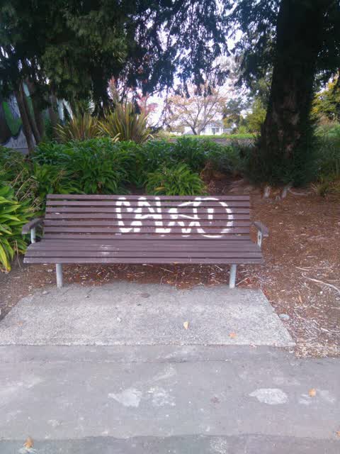 Graffiti, a report photo