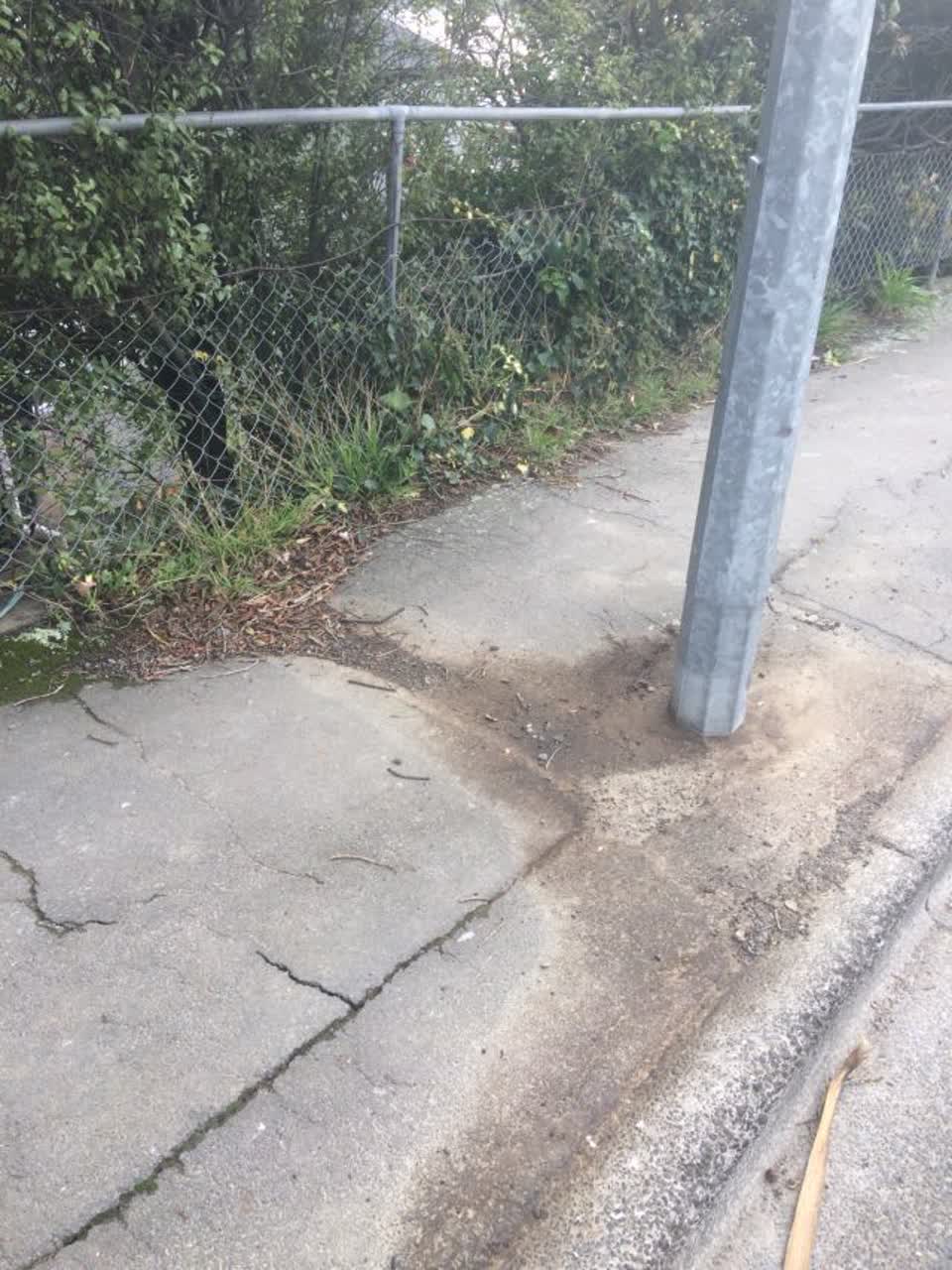 The photograph attached to this roading/streets report