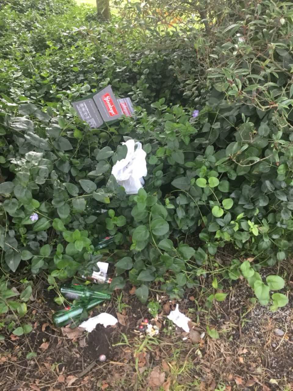 The photograph attached to this rubbish/recycling report