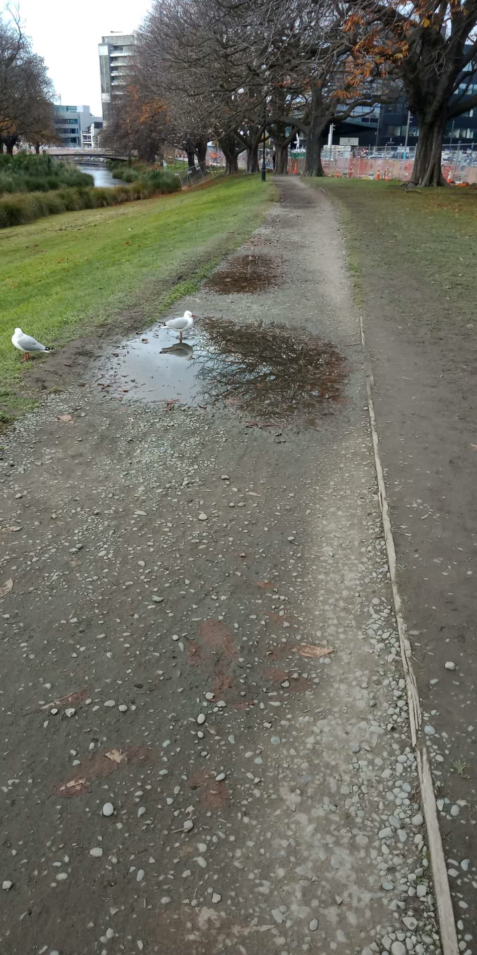 The photograph attached to this parks report