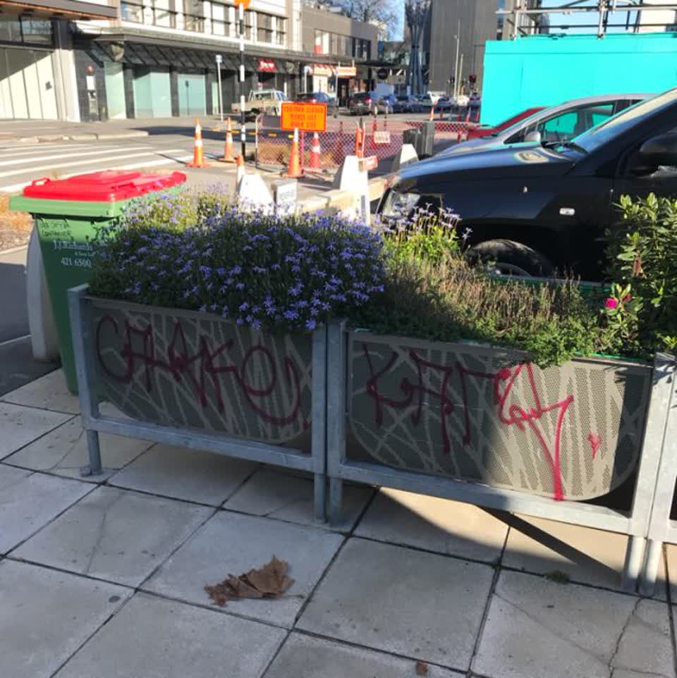 The photograph attached to this graffiti report