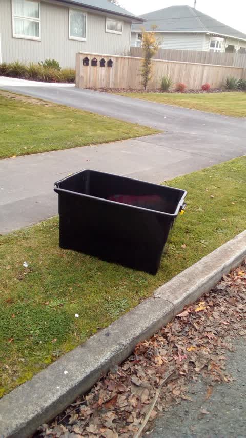 Rubbish/Recycling, a report photo
