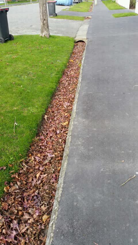 Parks, a report photo