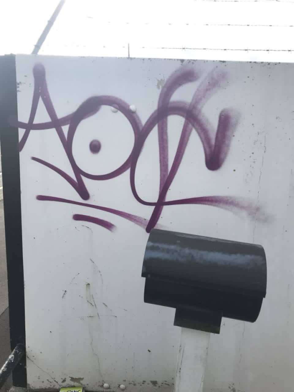 The photograph attached to this graffiti report