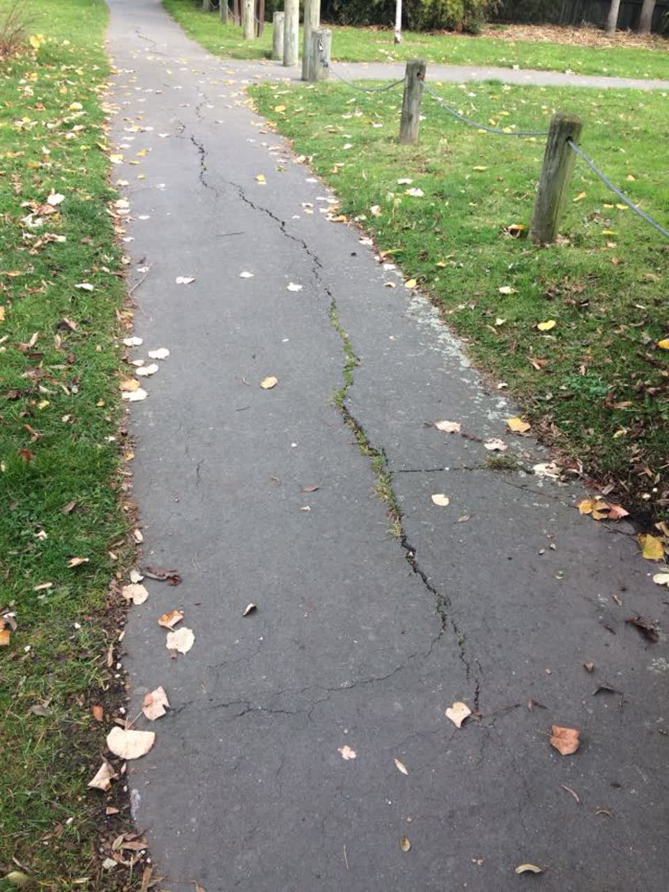 The photograph attached to this roading/streets report