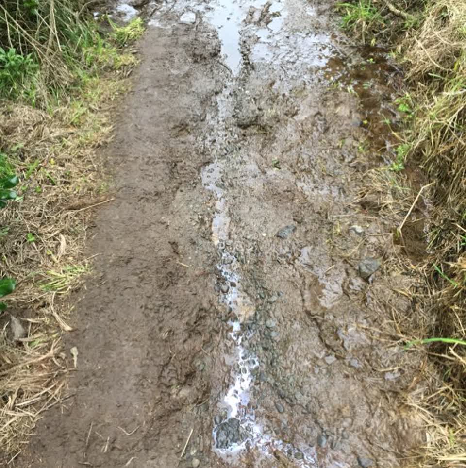 The photograph attached to this wastewater/stormwater report