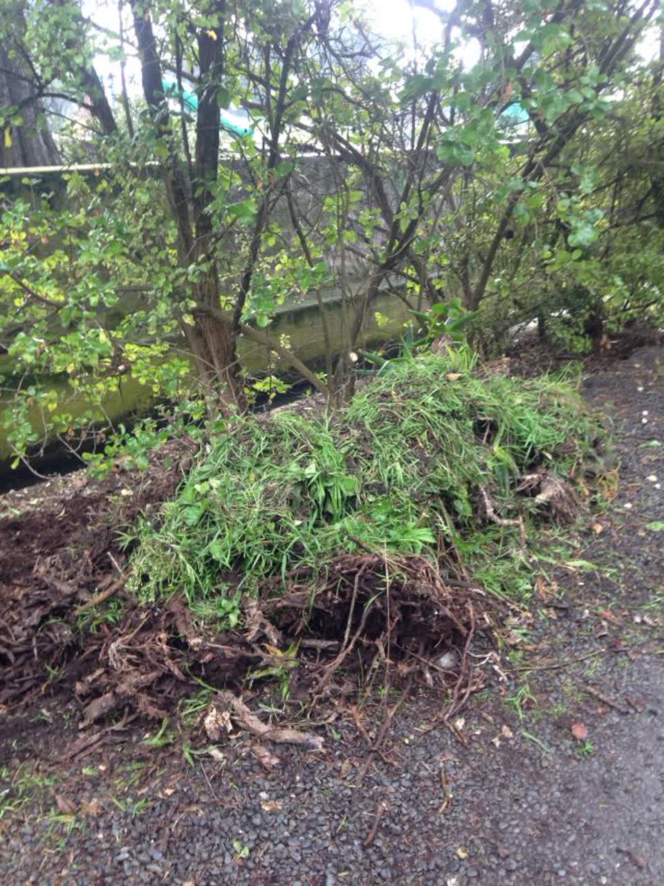 The photograph attached to this parks report