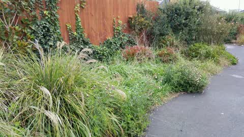 Roading/Streets, a report photo