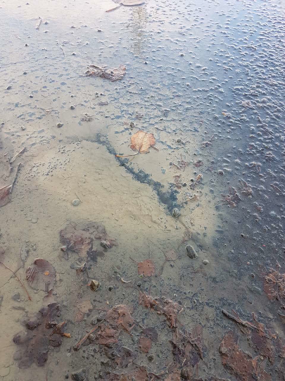 The photograph attached to this water supply report