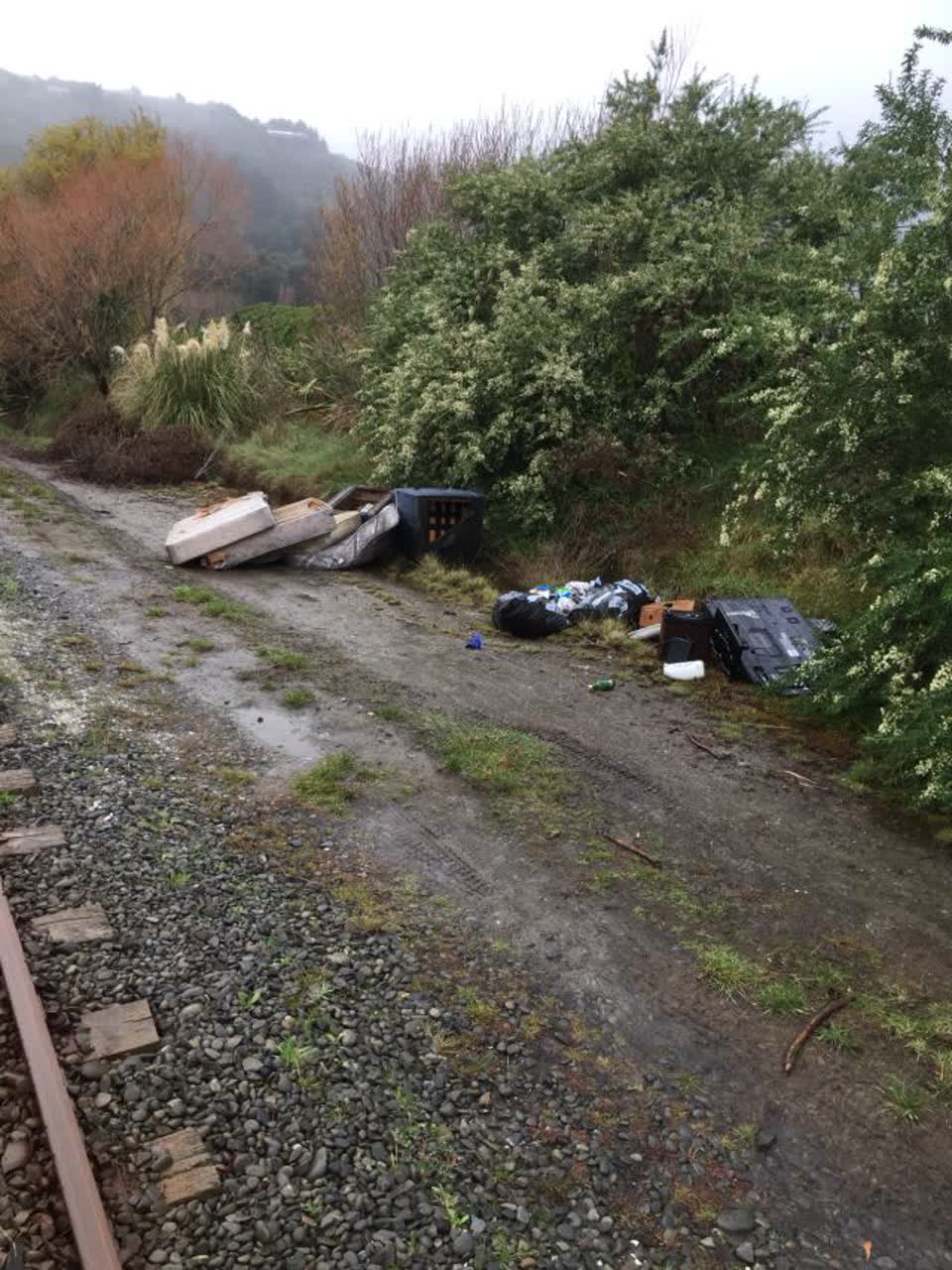 The photograph attached to this rubbish/recycling report