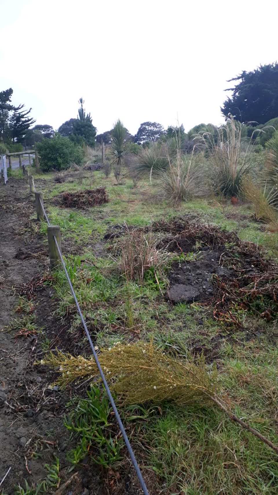 The photograph attached to this parks report