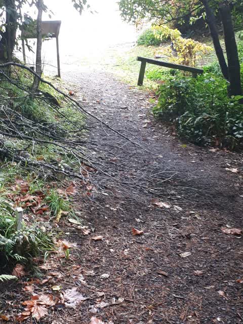 Parks, a report photo