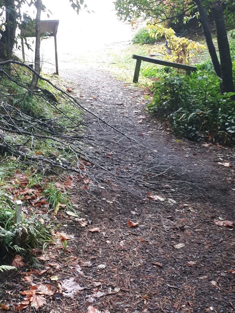 The photograph attached to this parks report