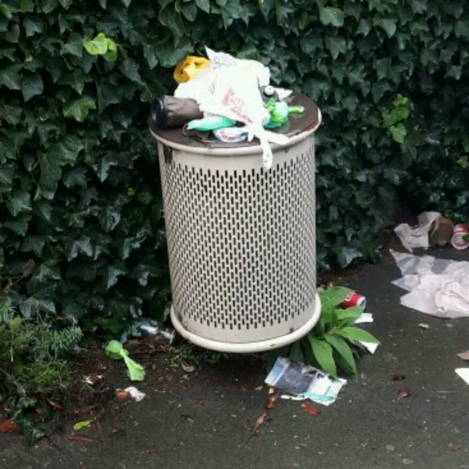 The photograph attached to this rubbish/recycling report