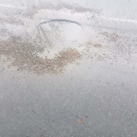 Roading/Streets, a report photo