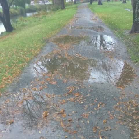 Parks, a report photo