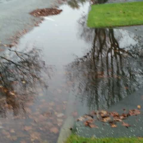 Flooding, a report photo