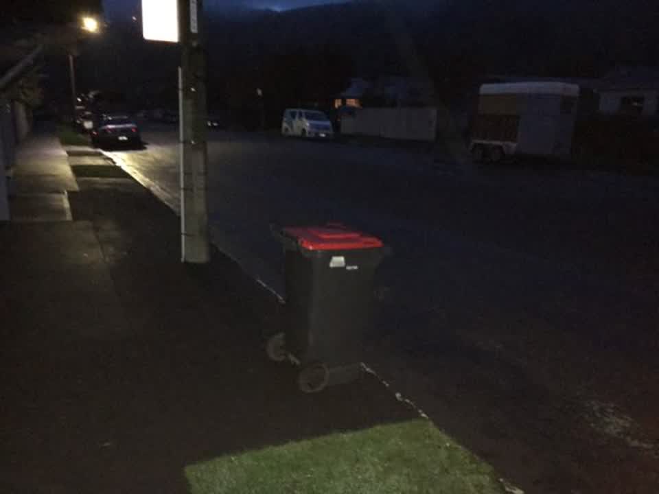 The photograph attached to this rubbish/recycling report