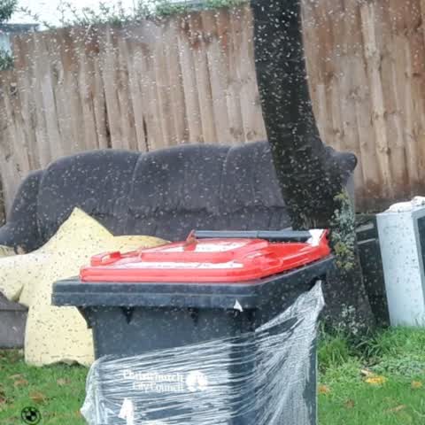 Rubbish/Recycling, a report photo
