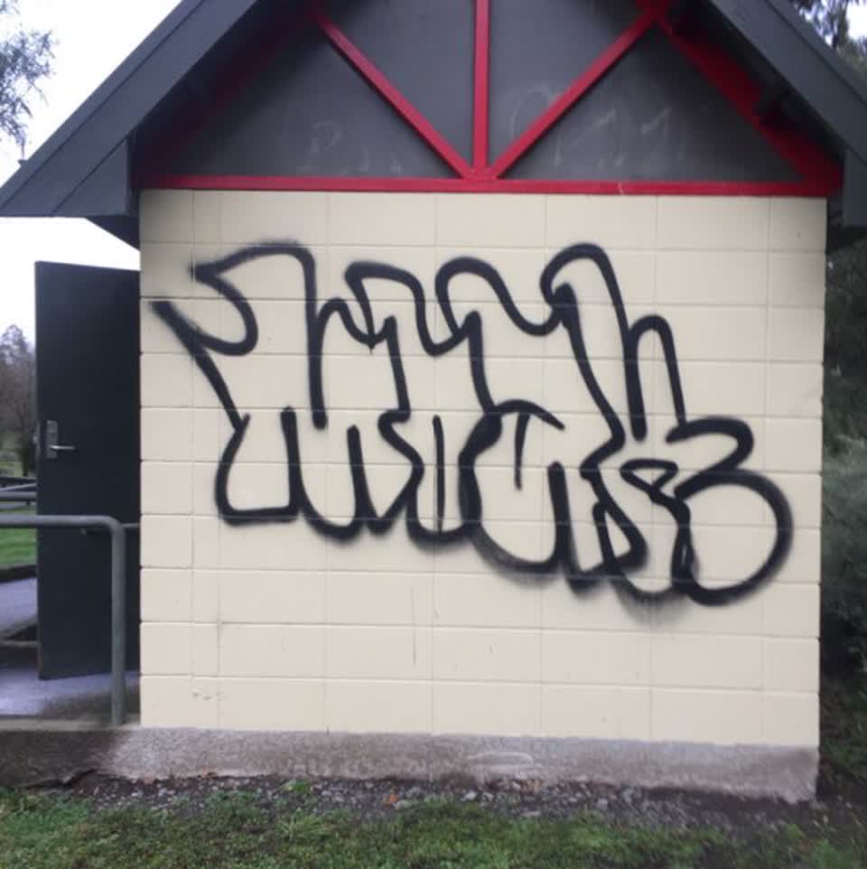 The photograph attached to this graffiti report