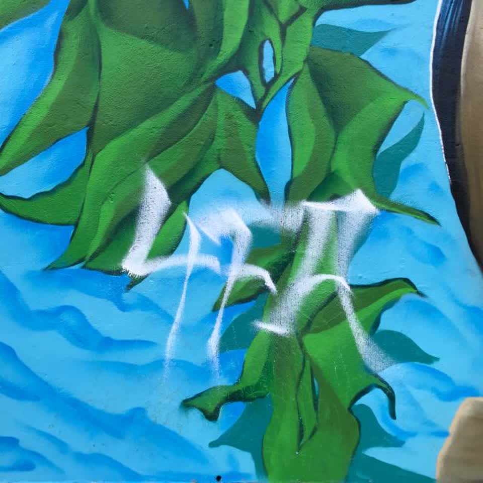 The photograph attached to this graffiti report