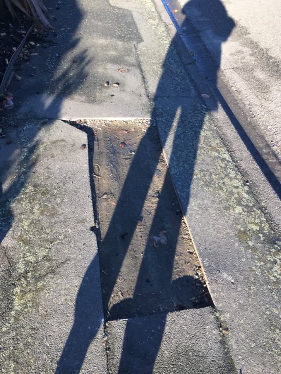 The photograph attached to this roading/streets report