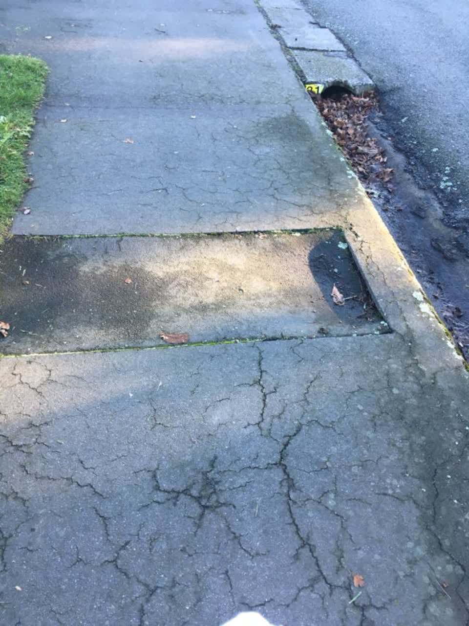 The photograph attached to this roading/streets report