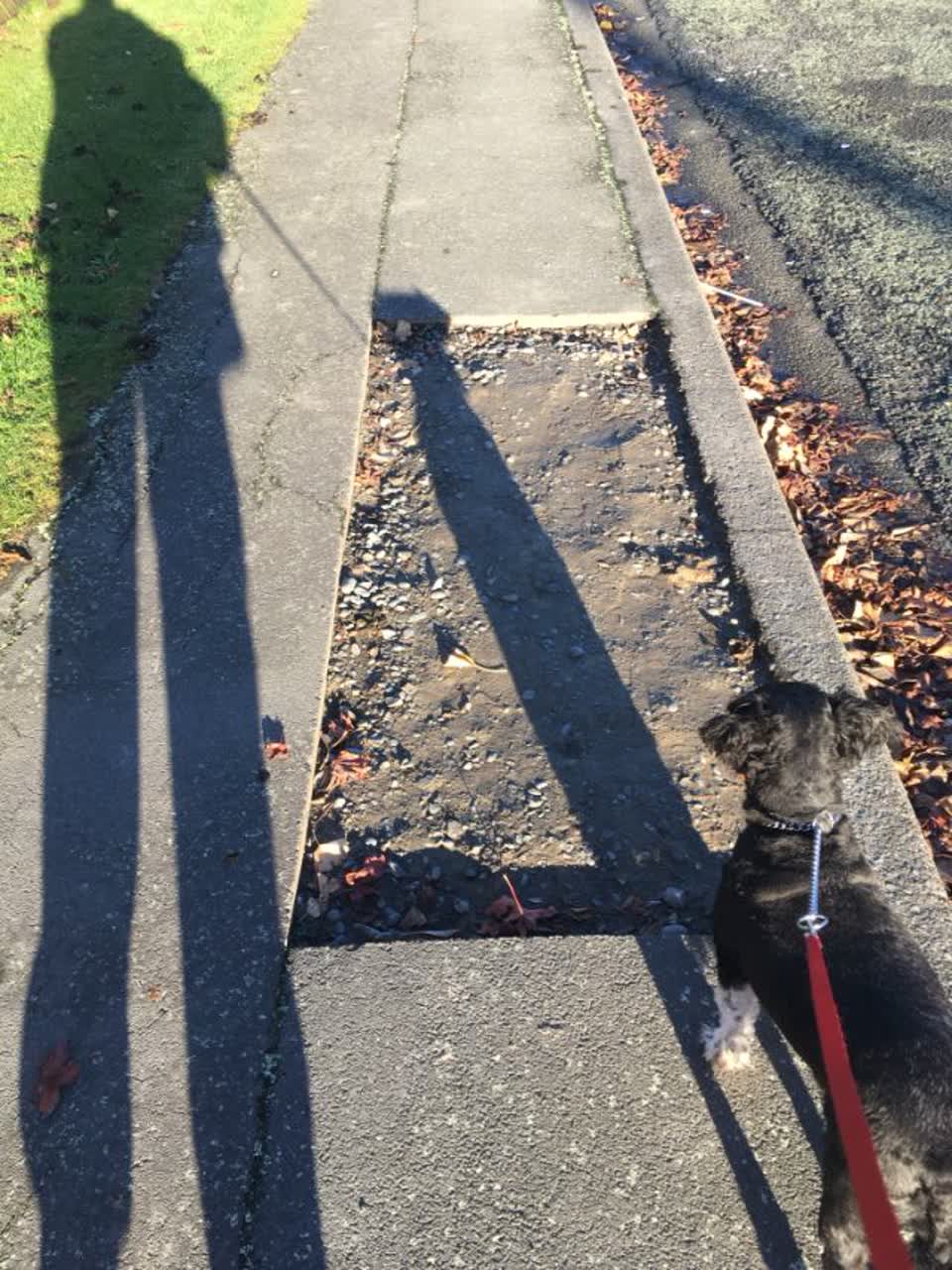 The photograph attached to this roading/streets report