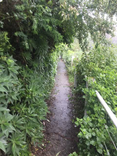 Roading/Streets, a report photo