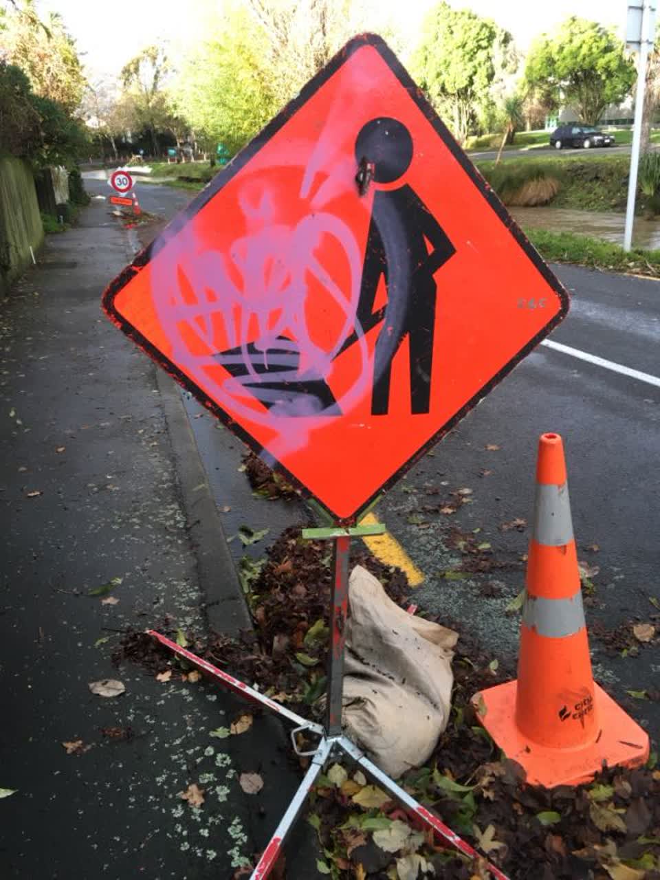 The photograph attached to this graffiti report