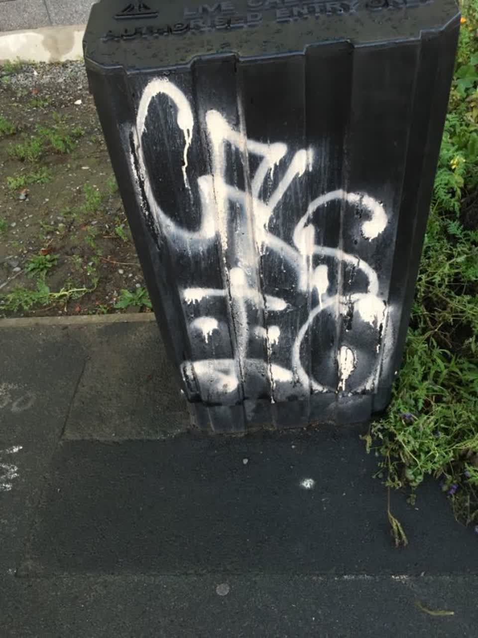The photograph attached to this graffiti report