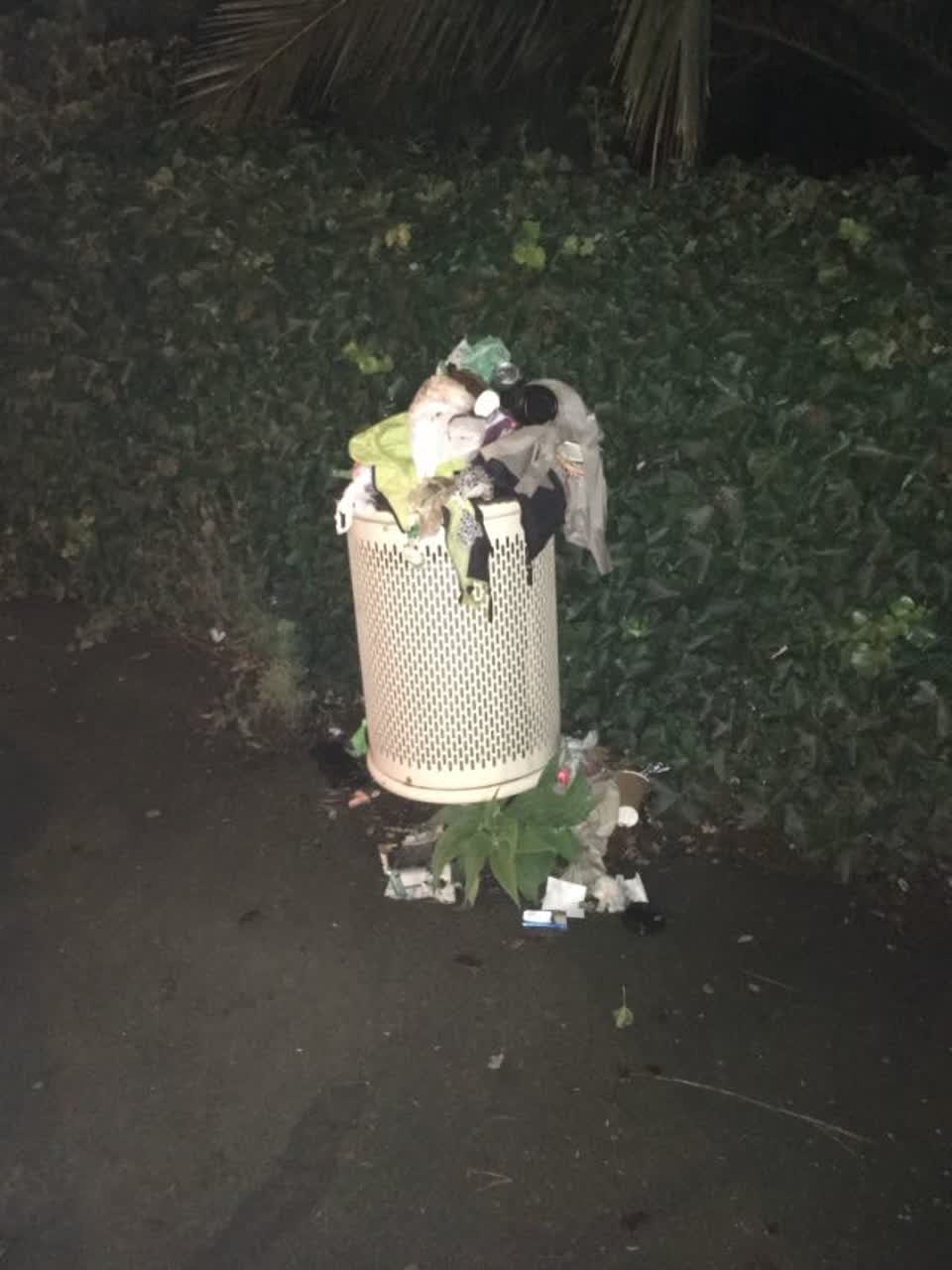 The photograph attached to this rubbish/recycling report