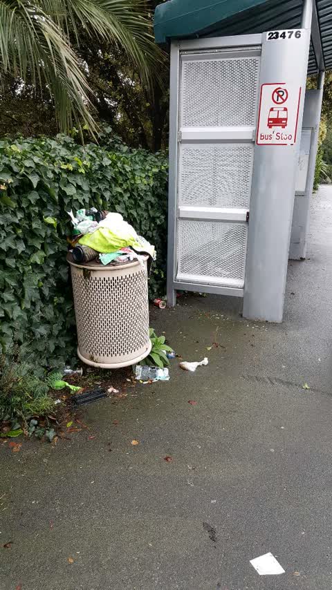 Rubbish/Recycling, a report photo