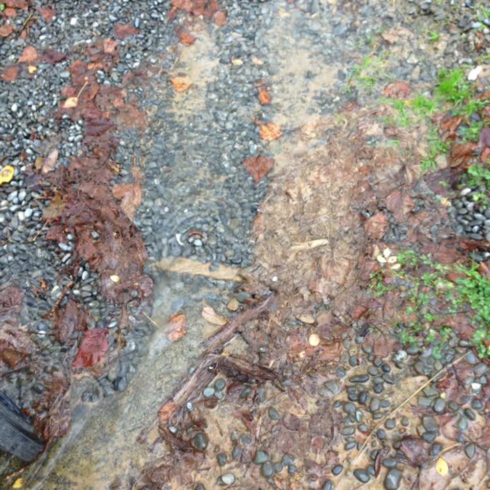 The photograph attached to this water supply report