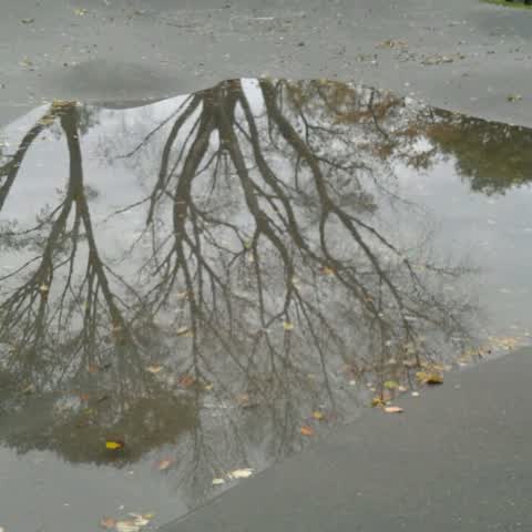 Parks, a report photo