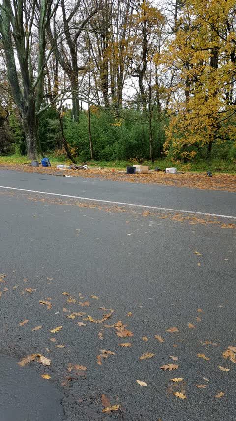 Rubbish/Recycling, a report photo