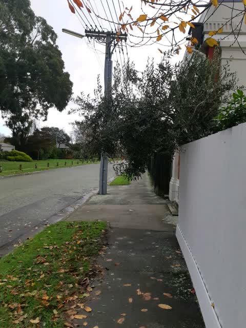 Roading/Streets, a report photo