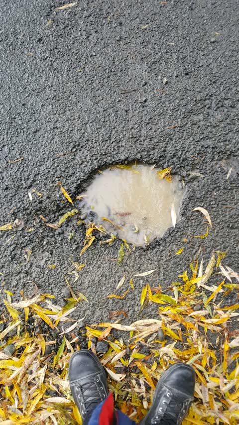 Roading/Streets, a report photo