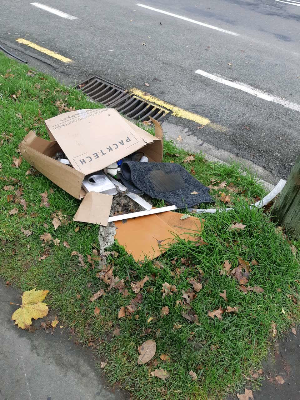 The photograph attached to this rubbish/recycling report