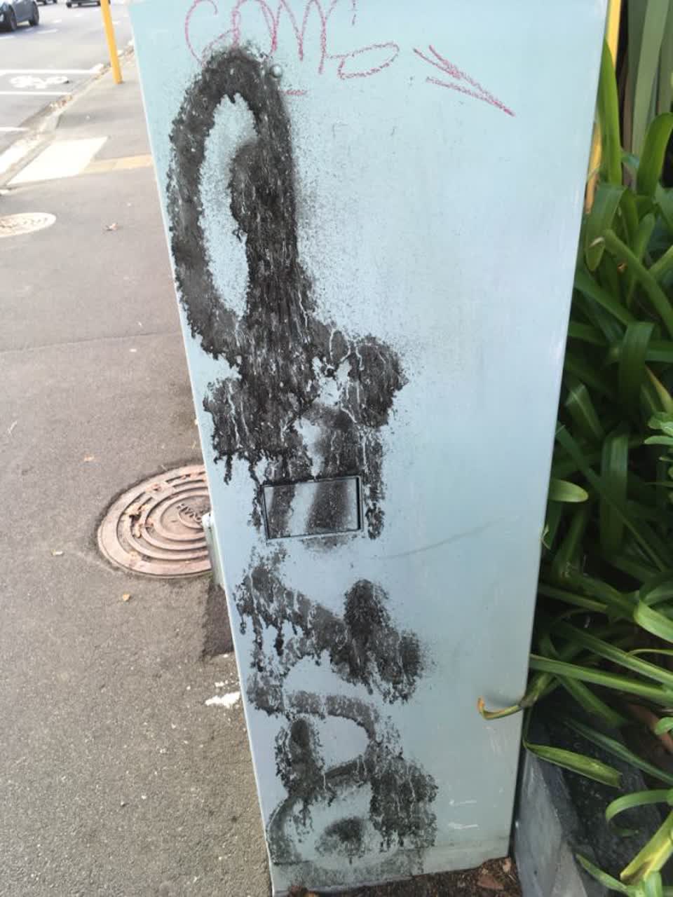 The photograph attached to this graffiti report