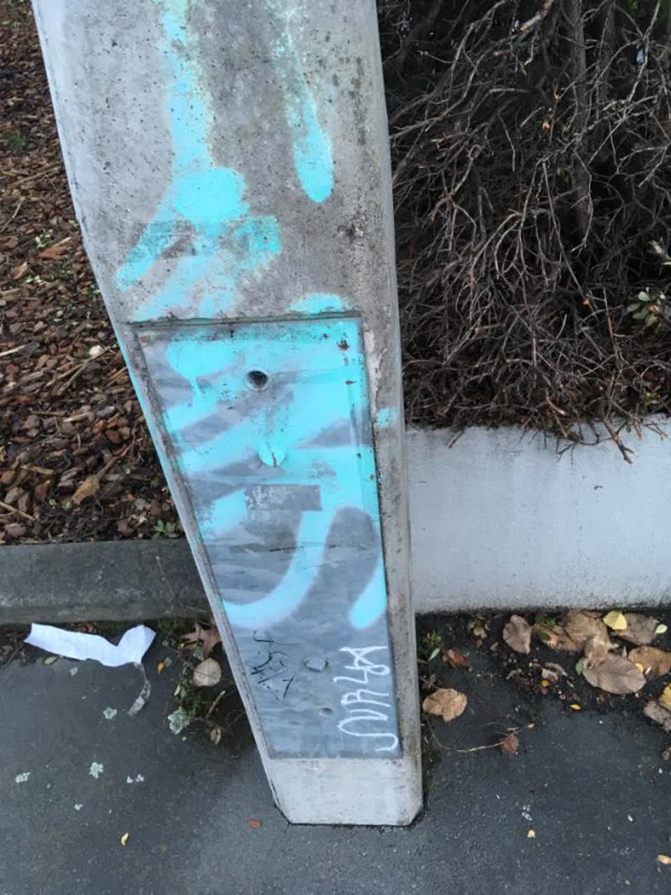 The photograph attached to this graffiti report