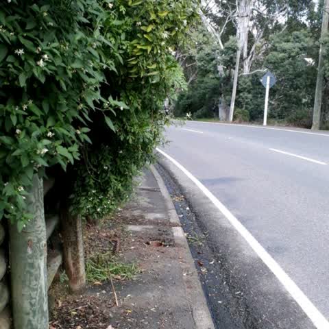 Roading/Streets, a report photo