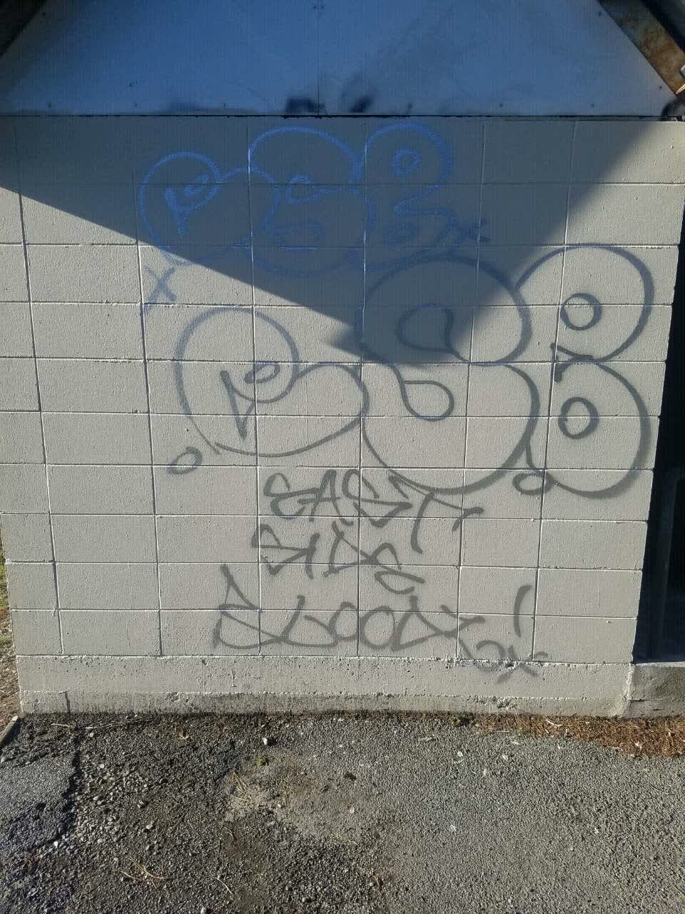 The photograph attached to this graffiti report
