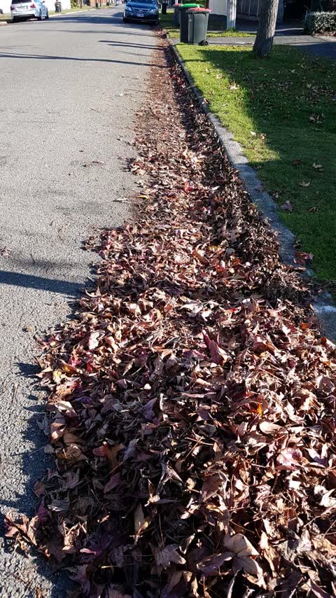 Roading/Streets, a report photo