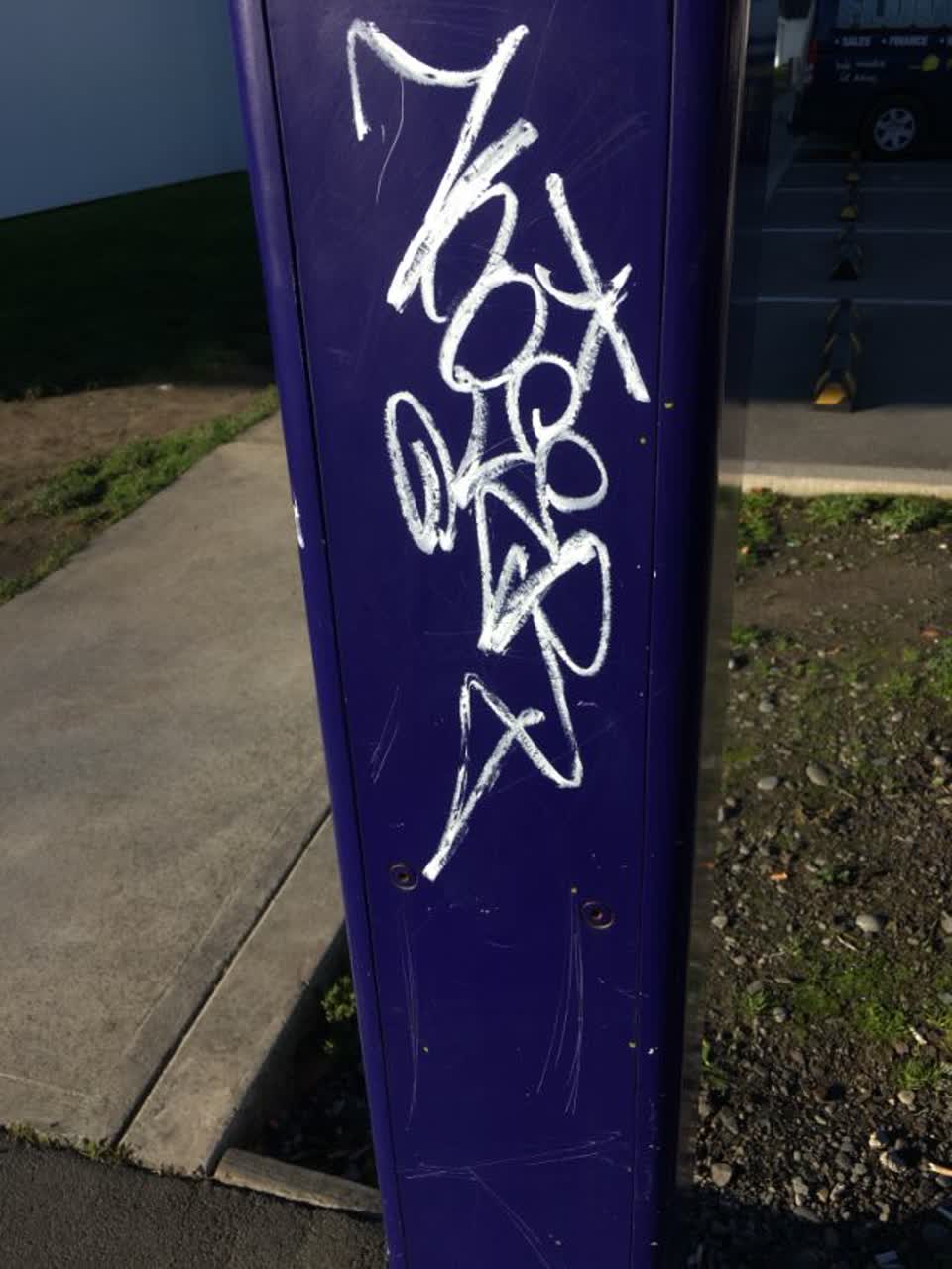 The photograph attached to this graffiti report
