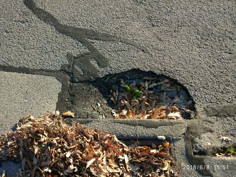 Roading/Streets, a report photo