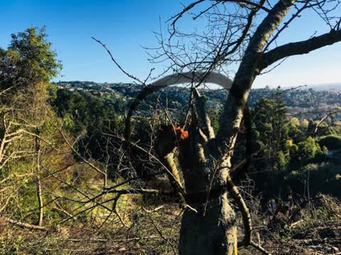 Parks, a report photo