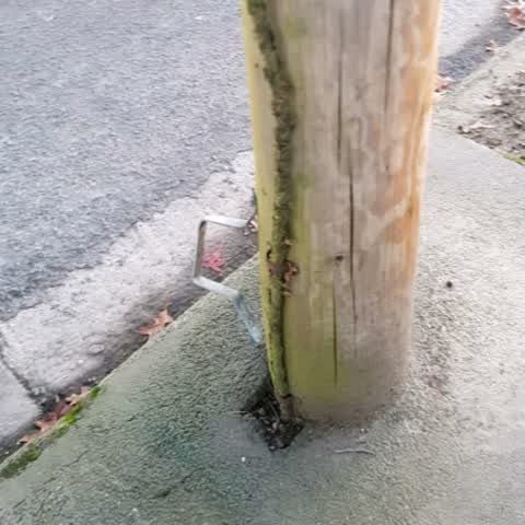 Roading/Streets, a report photo