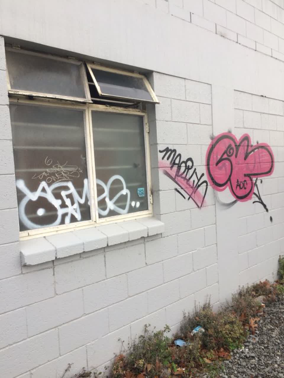 The photograph attached to this graffiti report